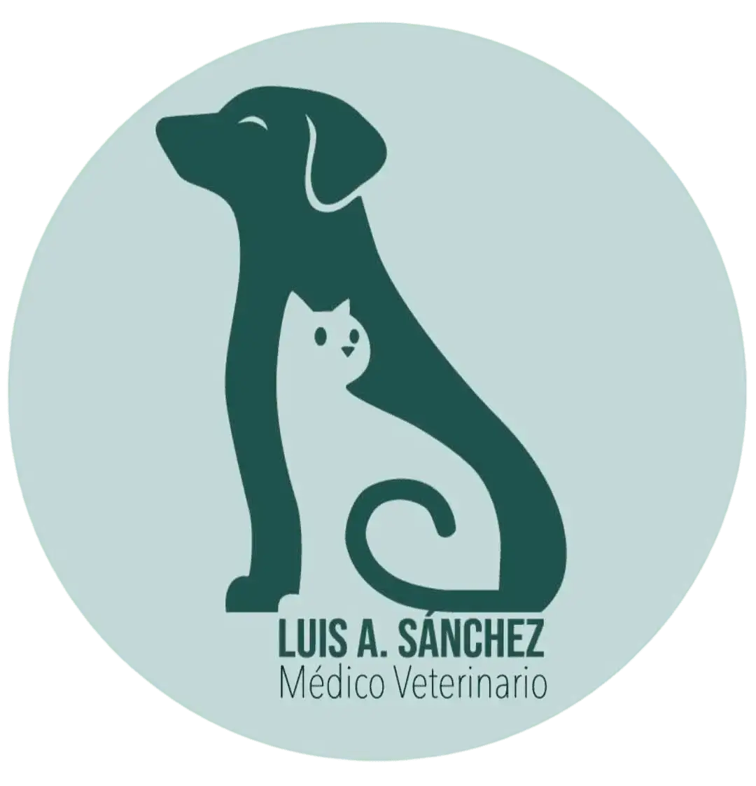 imagen-logo